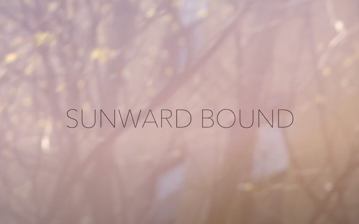 Sunward-Bound-Art-Hirahara